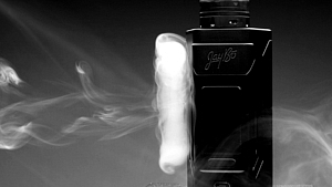 Wismec REULEAUX RX2 MOD デュアル20700のパワー！